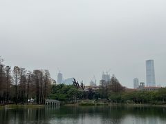 -四海公园(南山区)