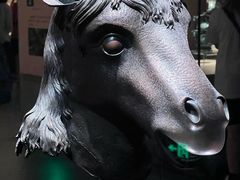 -广西壮族自治区博物馆