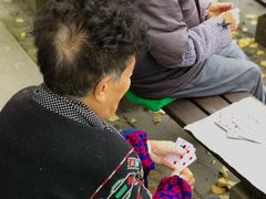 -成都市活水公园