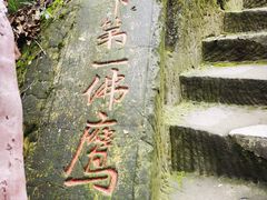 -大金鹰园