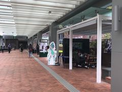 -香港大学