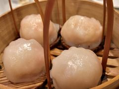 招牌虾饺皇-金鼎轩(亚运村店)