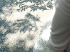 -石台牯牛降景区