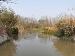 -桤木河湿地公园