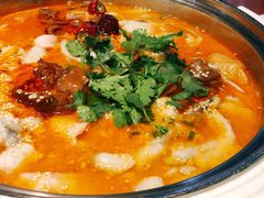 -龙梅肥肠鱼(明瓦廊店)