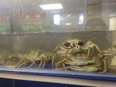 -阳澄湖大闸蟹·琼灵阁牌品牌连锁(吴中总店)