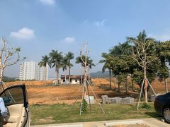 -光明小镇欢乐田园