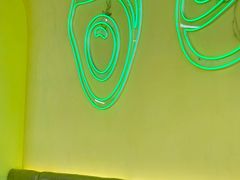 -油梨树AVOCADO TREE(望京店)