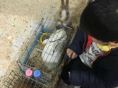 -上海大自然野生昆虫馆(东方明珠·爬宠昆虫探索中心)
