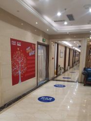 -碧莲盛·不剃发植发