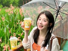 -重庆彩云湖湿地公园