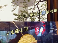 -茶颜悦色(岳麓山顶店)