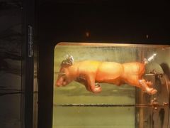 -Osteria Garden 生蚝花园餐厅(原进贤路店)
