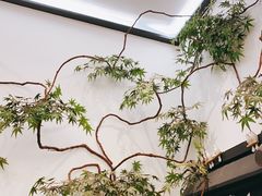 -耳艺采耳·足疗·按摩SPA(市桥店)