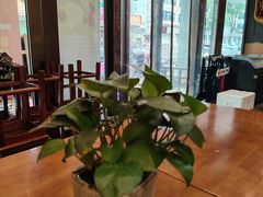 -泰合素食(双流店)