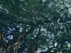 -闽粤南澳总镇府