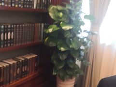 -梦都海鲜酒家(万达广场江桥店)