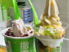 -Salud撒露欧洲冻酸奶(北苑上品店)