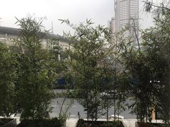 景观位-陈麻婆豆腐总店