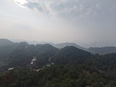 -大金鹰园