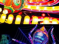 -淄博花灯齐彩城