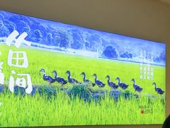 -杨厨的田园饭店(长城路店)