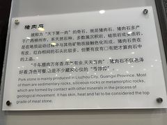 -游龙石文化科普馆