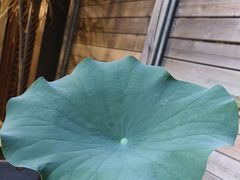 -花锦堂·隐庐