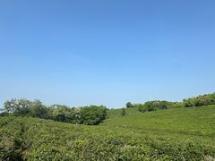-南京市江宁方山