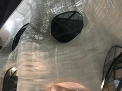 -证大喜玛拉雅中心