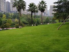 -龙头寺公园