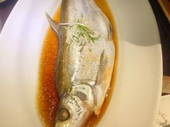 -绿茶餐厅(千岛湖银泰城店)