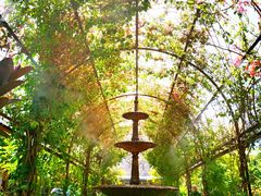 -The Grounds of Alexandria