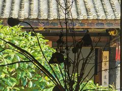 -朱家花园