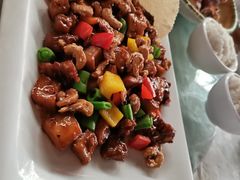 -大树头森林餐厅(番禺广场店)