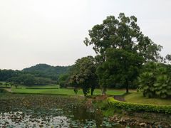 -麓湖高尔夫球俱乐部