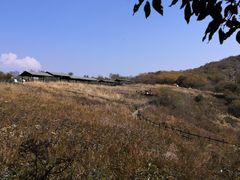 -白草畔自然风景区