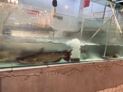 -赵大妖·活鱼现烤(天水店)
