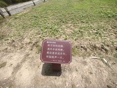 -田园东方蜜桃村的田野营地