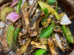 啫黄鳝-汤氏美食台山水步特色黄鳝饭(龙津东路店)