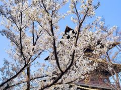 -广富林郊野公园