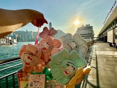 -玩具反斗城(海港城店)