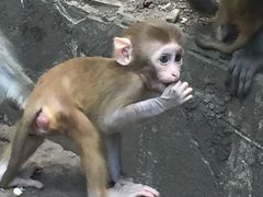 -黔灵山公园-南门售票处