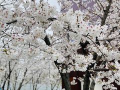 -龙美术馆西岸馆-停车场