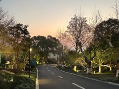 -东航云逸酒店(九溪烟树店)