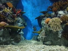 -福州罗源湾海洋世界旅游区