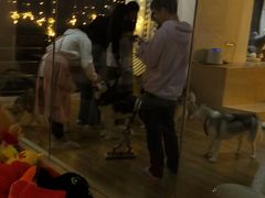 -Husky Go! 哈士奇体验馆·宠物咖啡厅狗咖