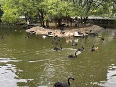 -黔灵山公园