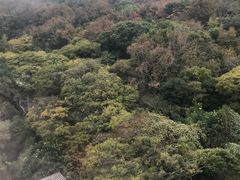 -普陀山佛顶山索道