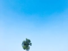 -大姆山草场